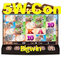 Explore as vantagens do Bigwin: serviço profissional e confiabilidade