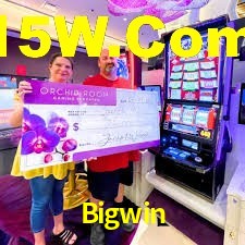 Player Reviews Bigwin