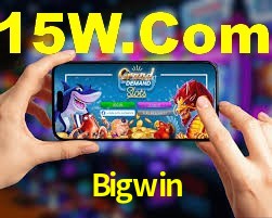 Experiência VIP Bigwin