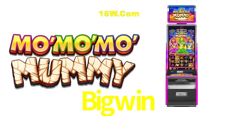 Security Systems Bigwin