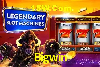 Bigwin Salvador - Support