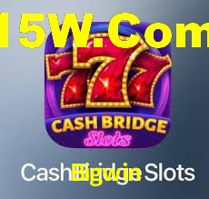 Programa VIP Bigwin